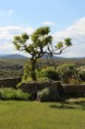 /album/galerie-de-photos-%3a-grande-f%c3%aate-au-ch%c3%a2teau-le-17-mai-2014%2c-de-tout-le-royaume-ils-sont-venus-dansant-/img-0103-jpg1/